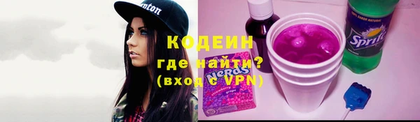 шишки Горняк