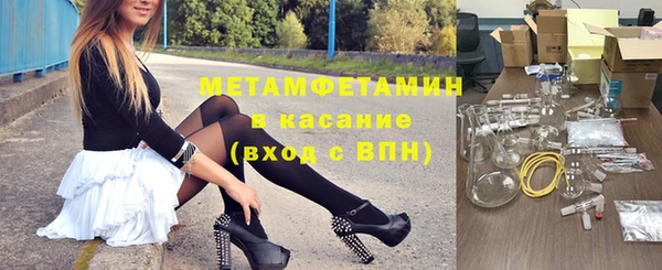 шишки Горняк