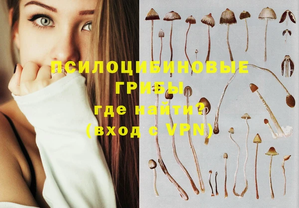 mix Горнозаводск