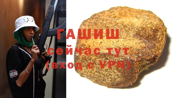 шишки Горняк
