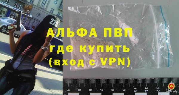 шишки Горняк