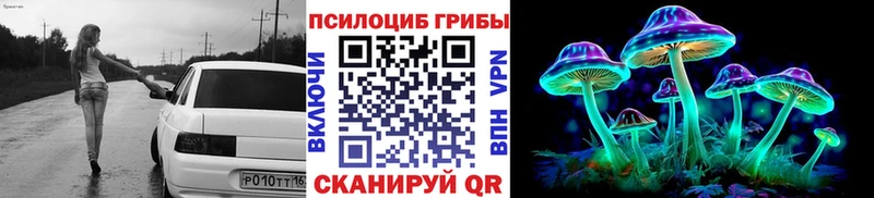 Псилоцибиновые грибы Cubensis  Невель 
